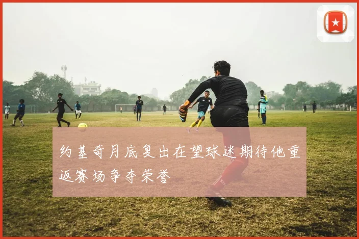 约基奇月底复出在望球迷期待他重返赛场争夺荣誉