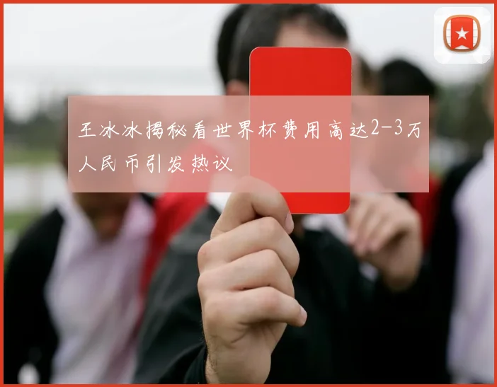 王冰冰揭秘看世界杯费用高达2-3万人民币引发热议