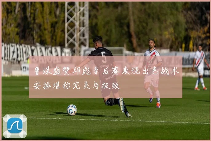 鲁媒盛赞邱彪季后赛表现出色战术安排堪称完美与极致