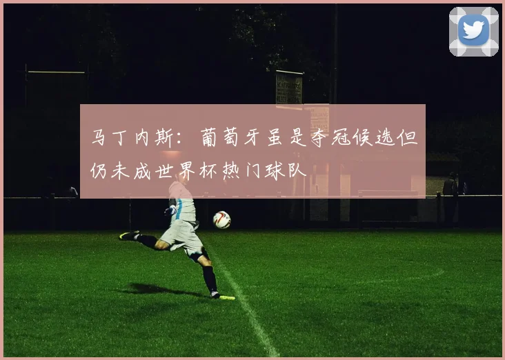 马丁内斯：葡萄牙虽是夺冠候选但仍未成世界杯热门球队