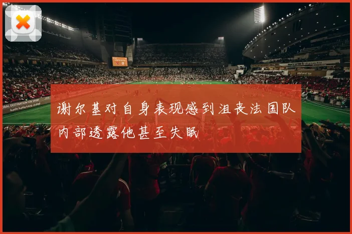 谢尔基对自身表现感到沮丧法国队内部透露他甚至失眠